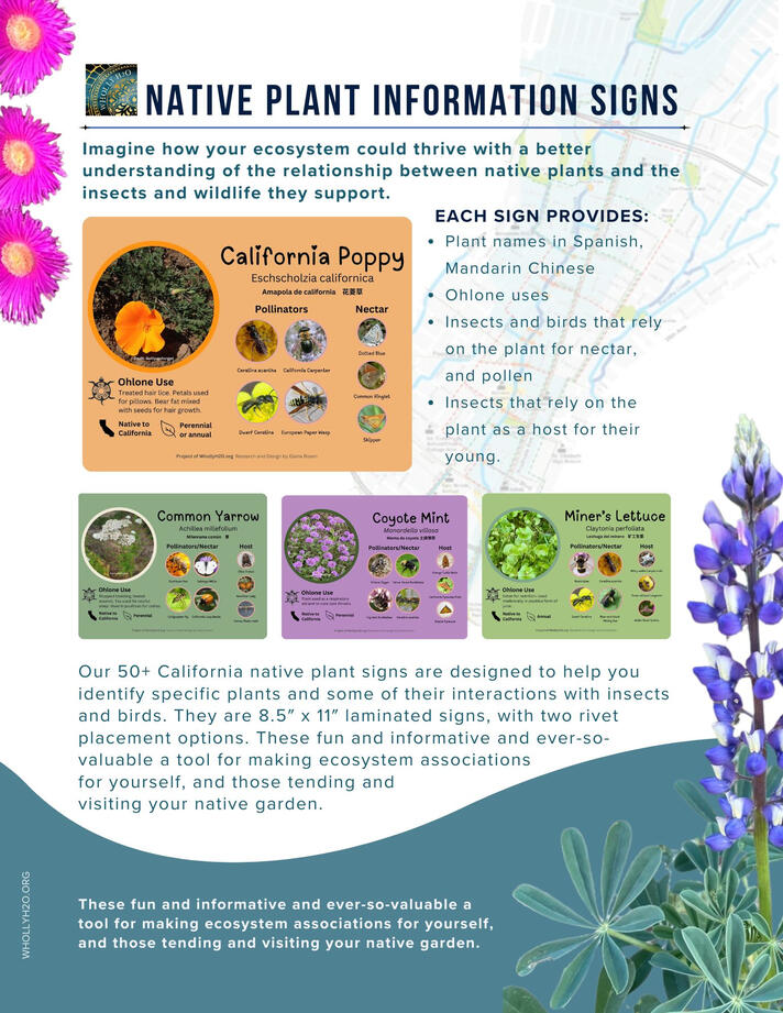 Native Plant Information Sheet