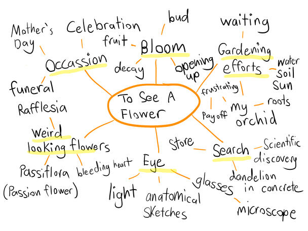 Mind map to expand on ideas