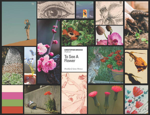 Mood board to explore interesting colors and imagery