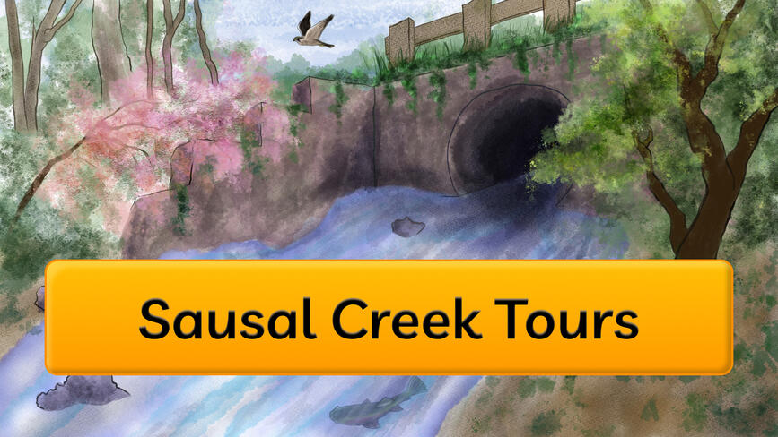 Sausal Creek