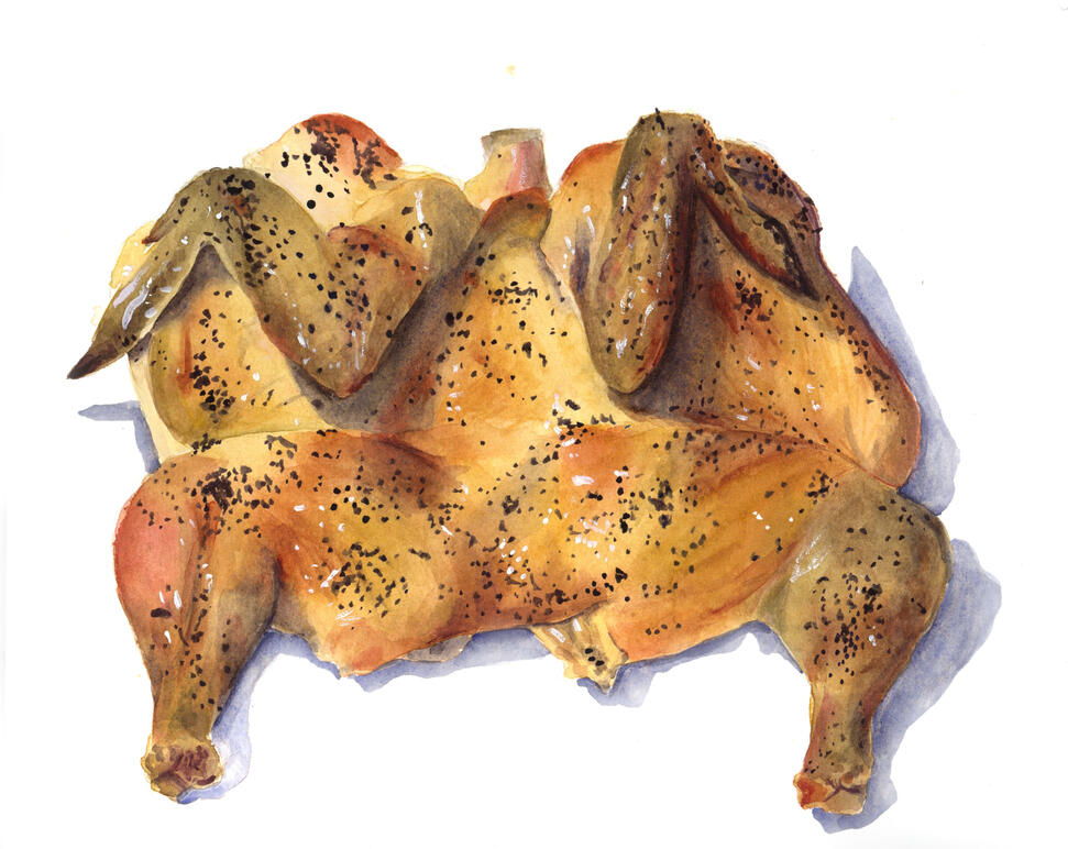 Chicken -Watercolor