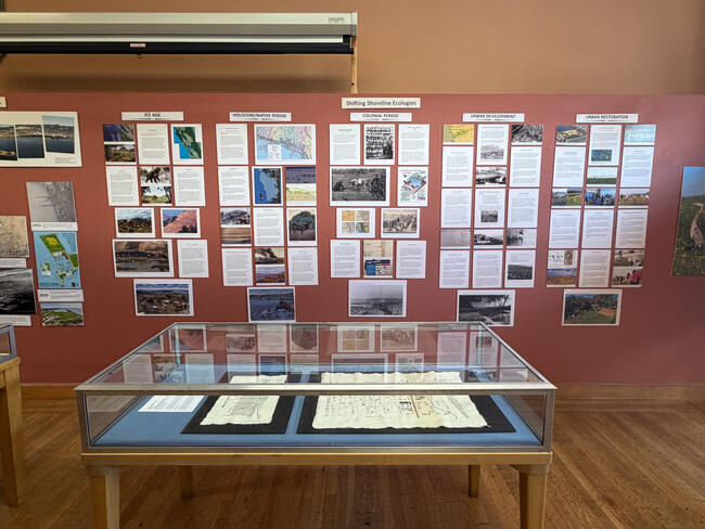 Actual Exhibit Wall