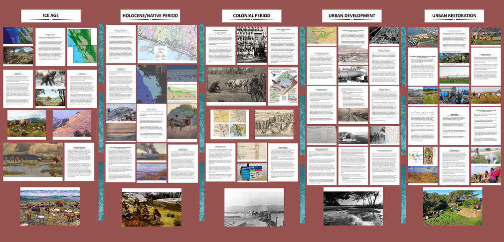 Concept Layout (Digitial)